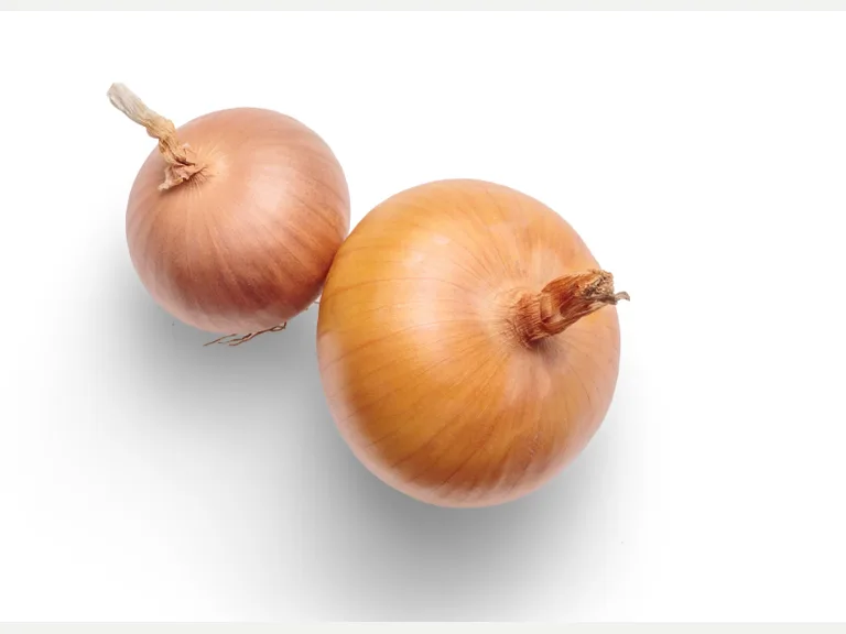Kotimainen sipuli