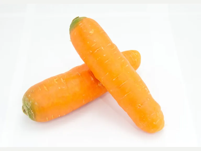 Porkkana
