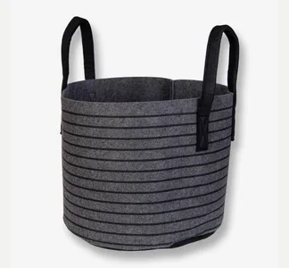 Säilytyskori Horizon 30 L harmaa
