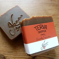 Tervasaippua